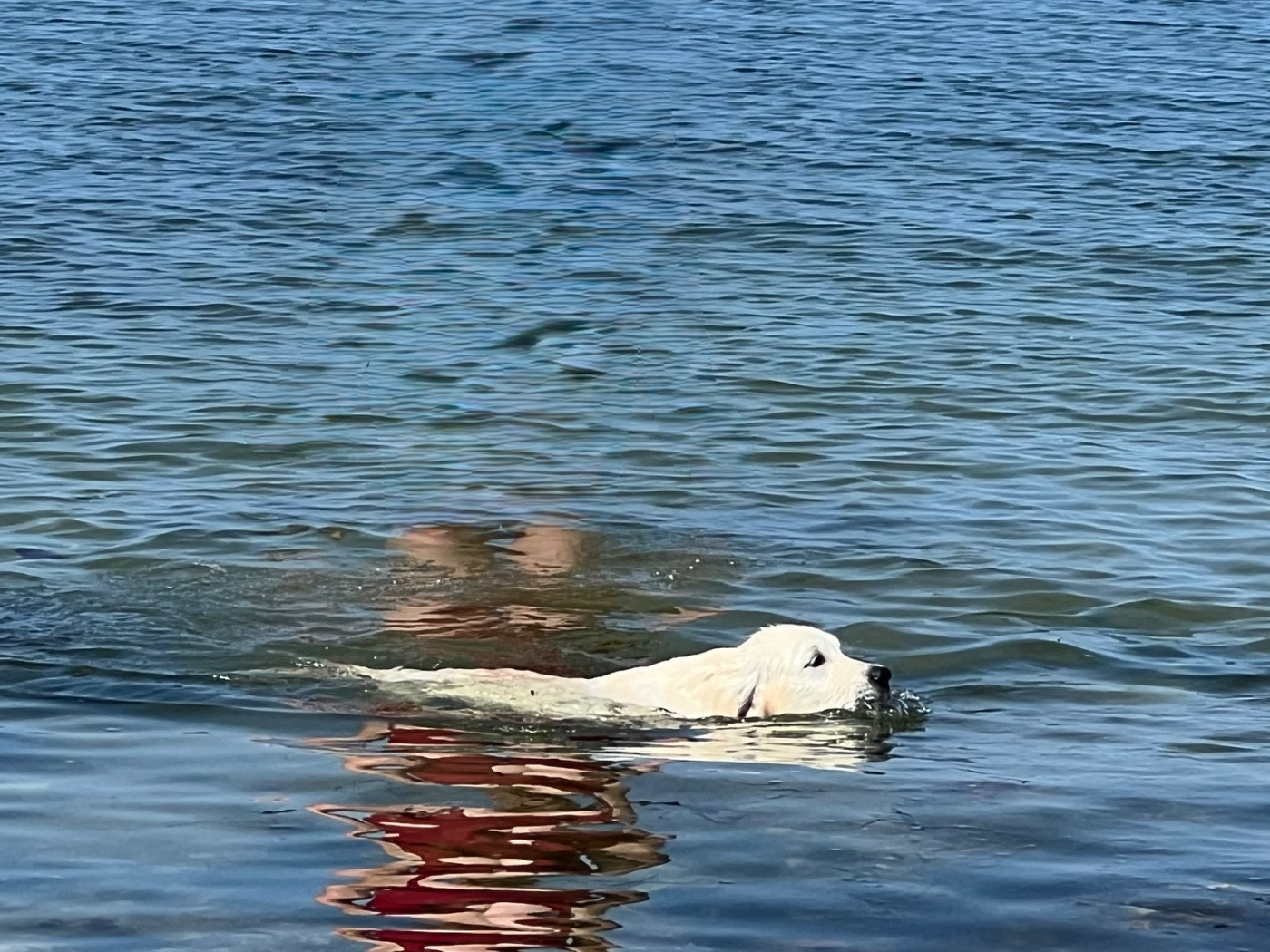 Publication : Ashbury