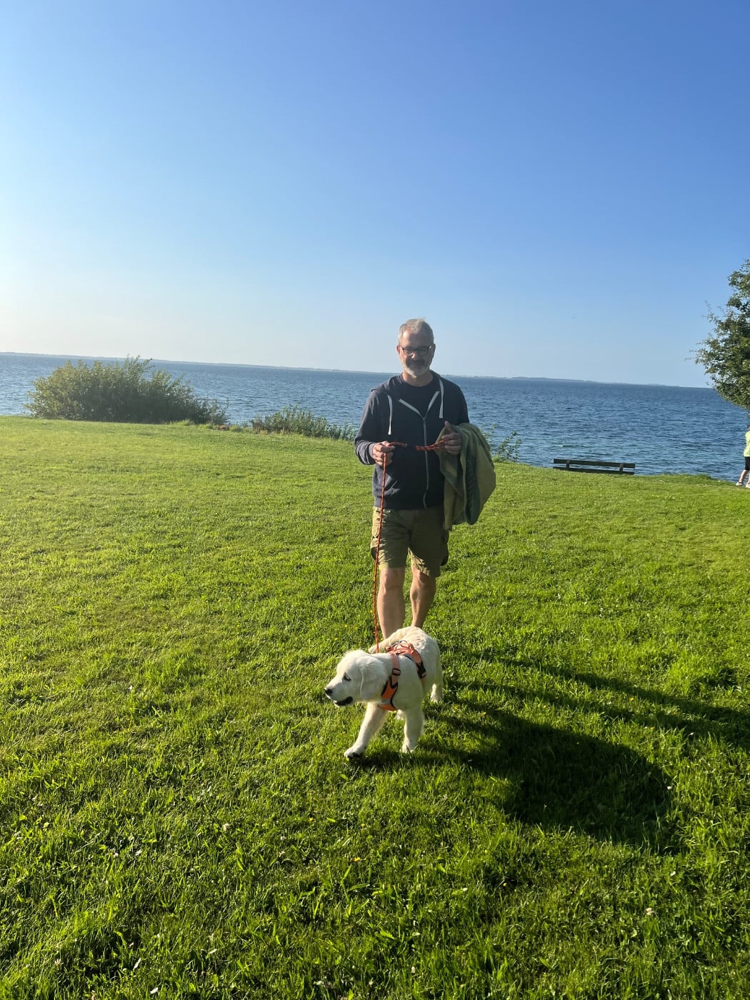 Publication : Ashbury