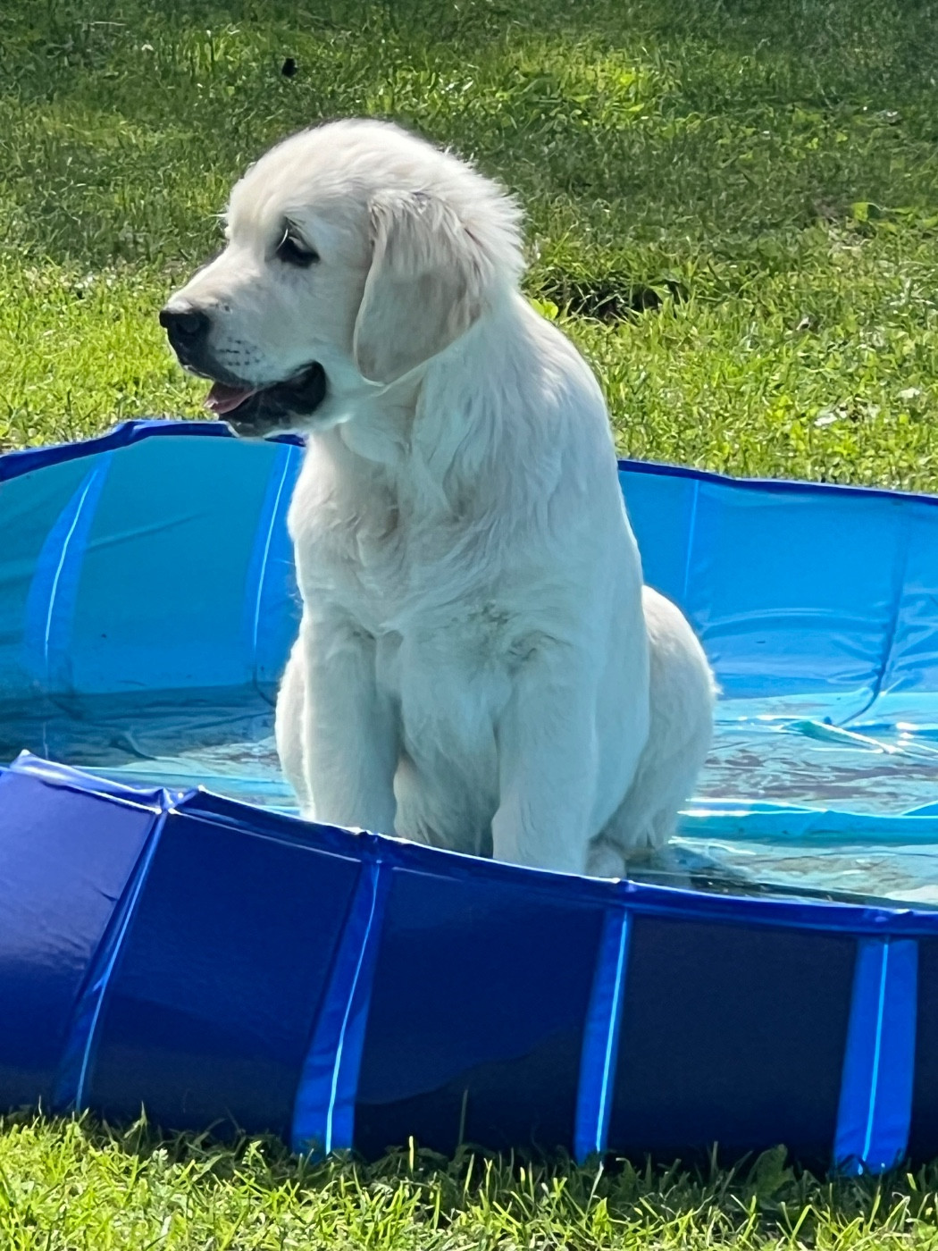 Publication : Ashbury