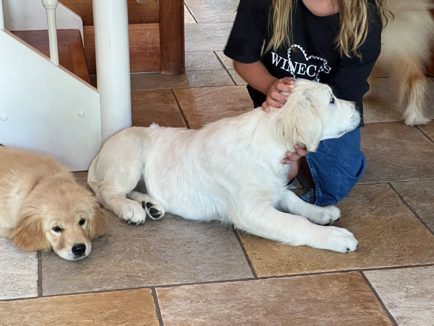 Publication : Ashbury