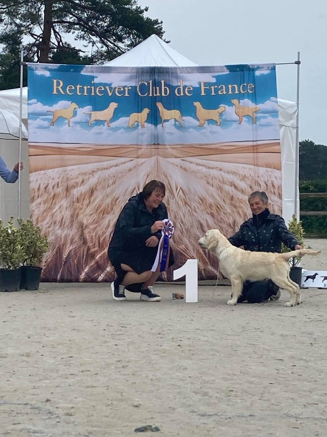 Publication : Ashbury