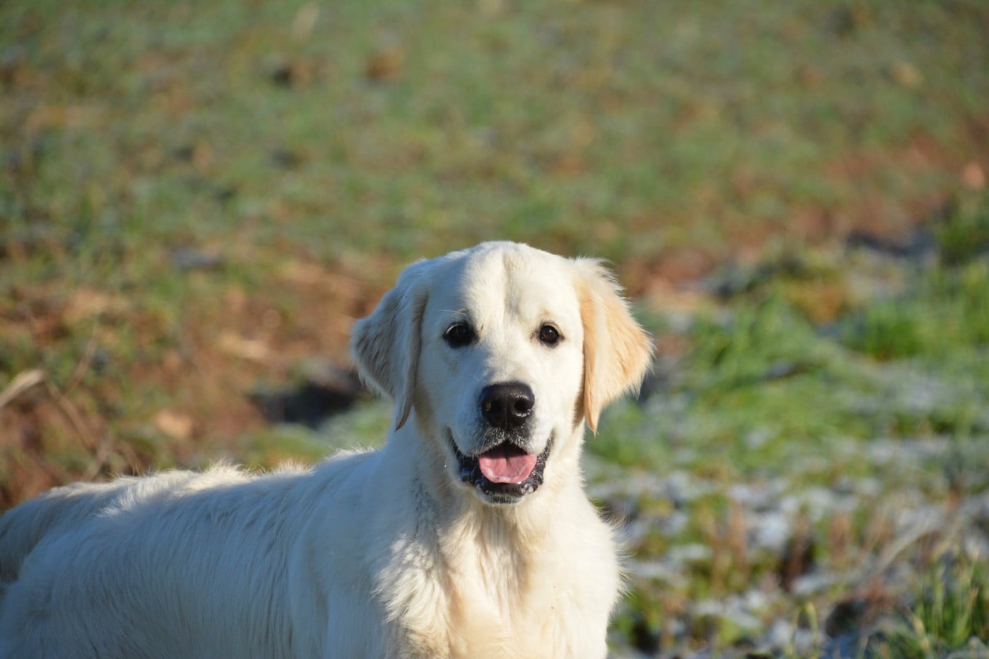 Publication : Ashbury