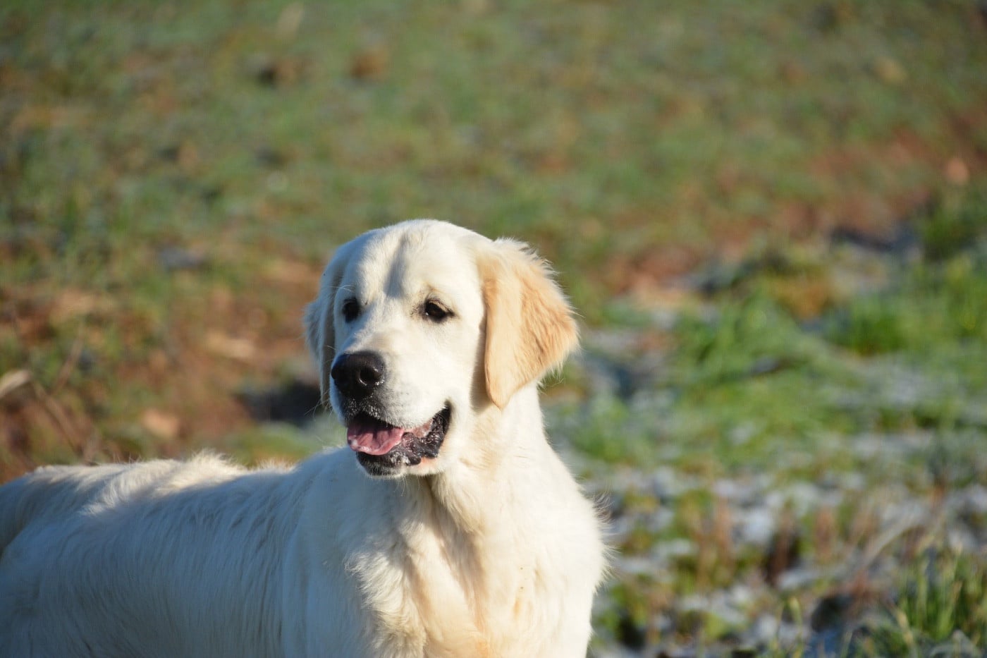 Publication : Ashbury