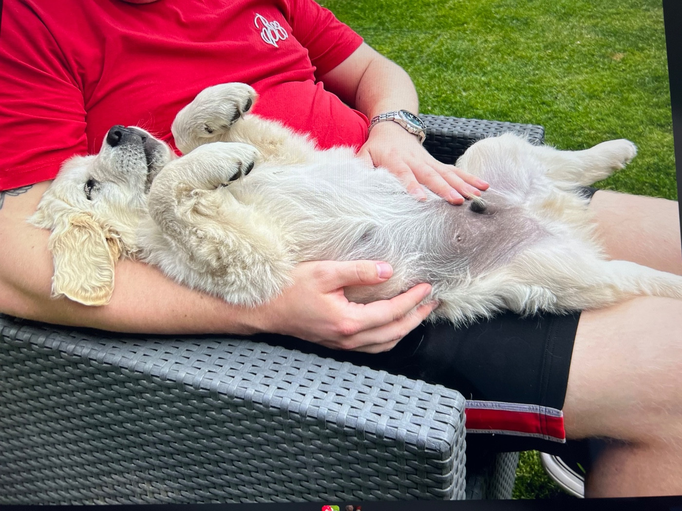 Publication : Ashbury