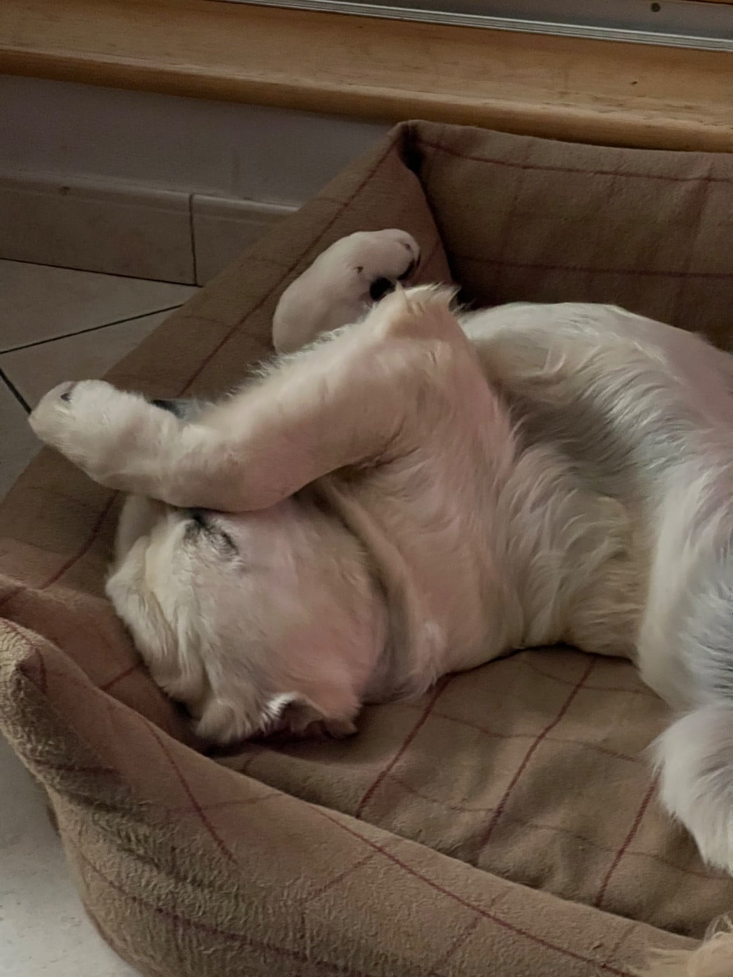 Publication : Ashbury