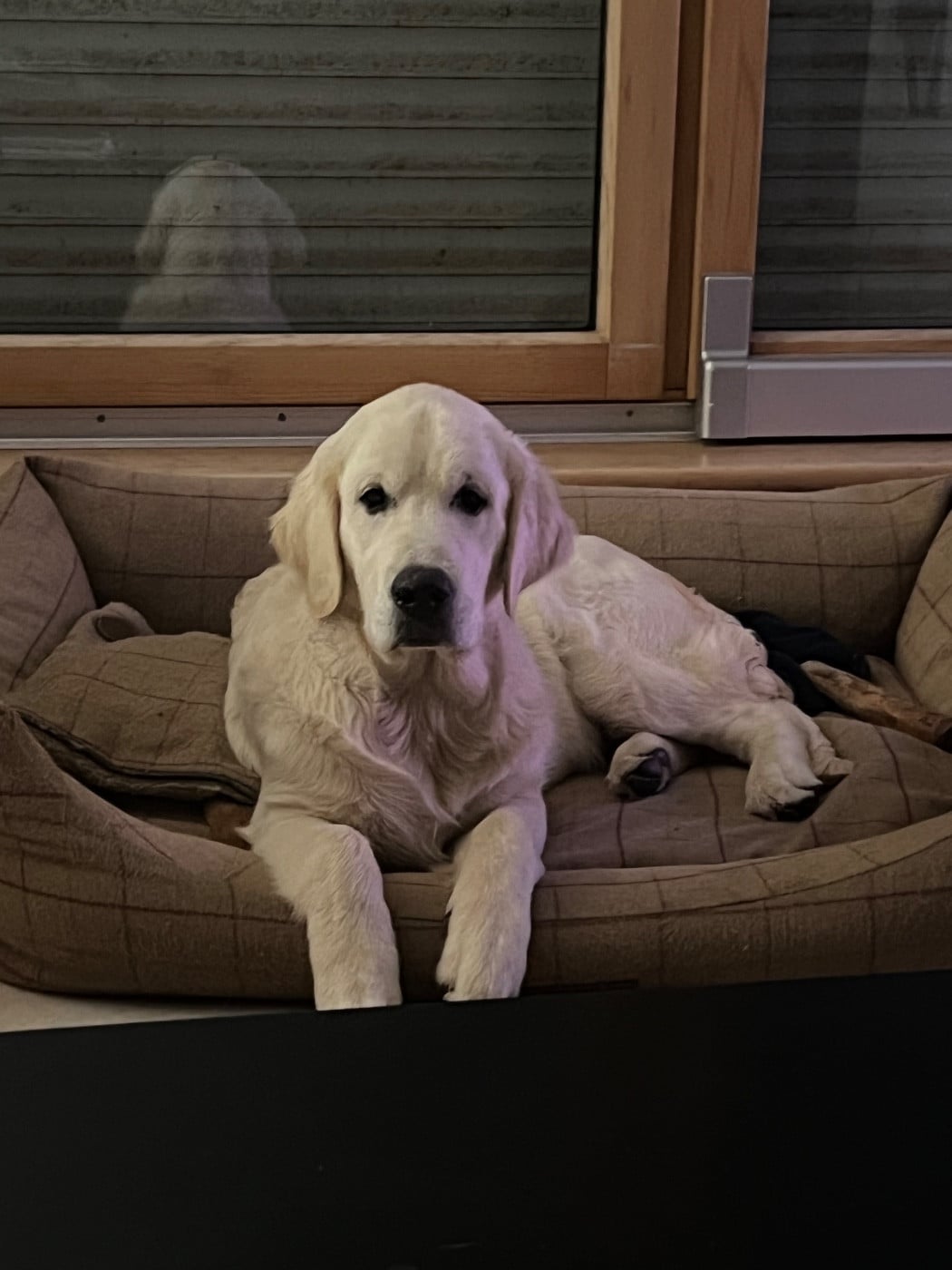 Publication : Ashbury