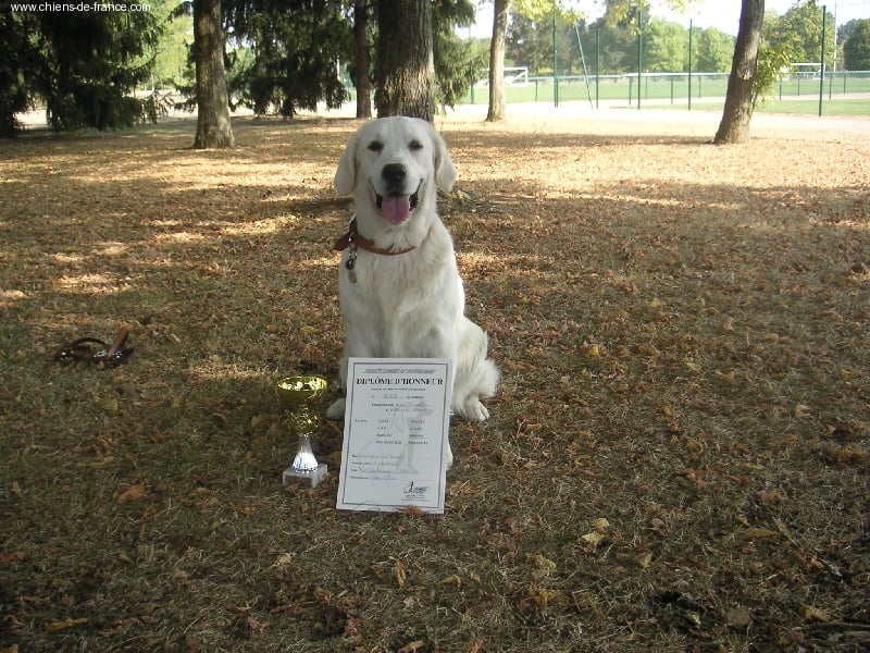 Vanille Du val des chênes d'argent - Tres bon
