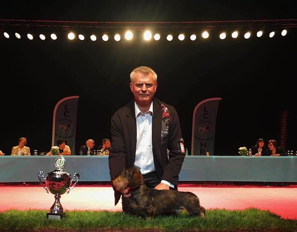 CH. Marco polo del wanhelsing - 1° Exc, Cacs, Cacib, Bob et Bog