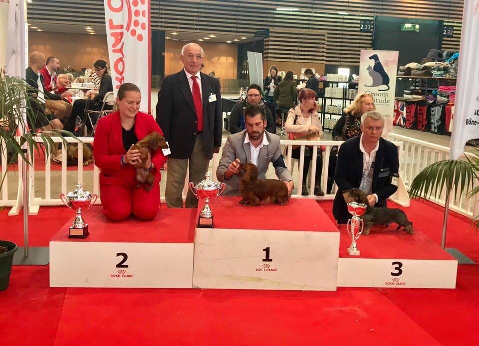 CH. Narnia de L'Abbaye Sainte-Marie - 1° Exc, Cacs, Cacib, Bob et 3° Bog
