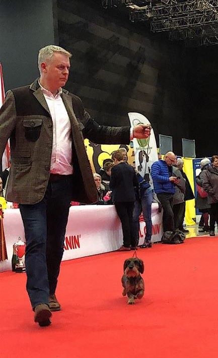 CH. Narnia de L'Abbaye Sainte-Marie - 1° Exc, Cacs, Cacib, Bob et 3° Bog