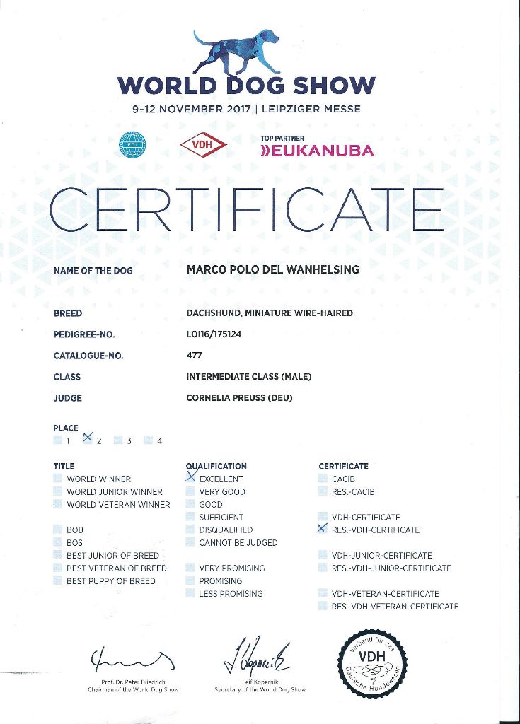 CH. Marco polo del wanhelsing - 2° Exc R VDH