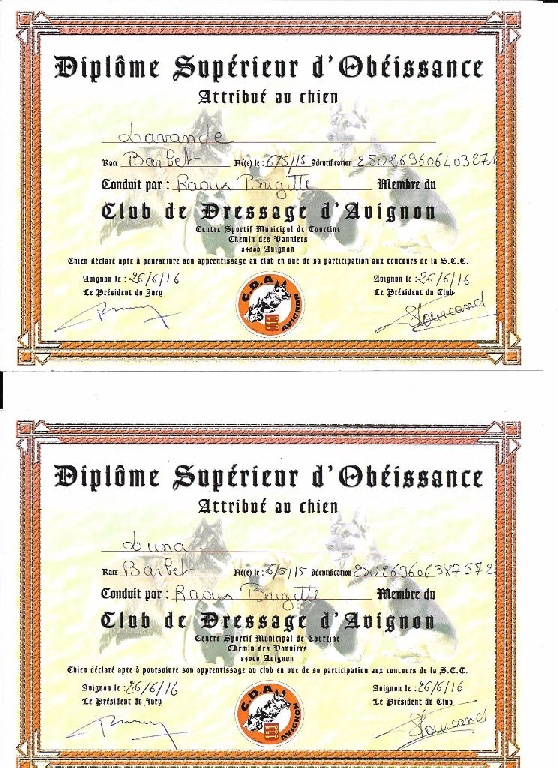 diplome superieur
