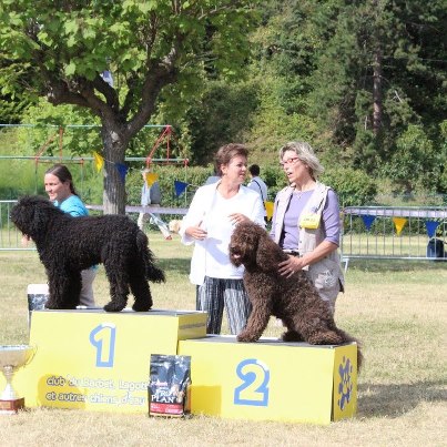 Publication : du soleil du Ventoux Auteur : Raoux