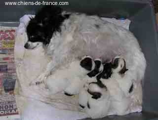 Publication : du soleil du Ventoux