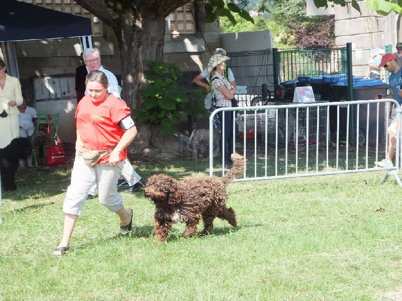 CH. Fanny forigoler de la serve de la chapelle d'Alexandre - CACS meilleur classe travail
