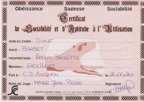 Dixie chick de la serve de la chapelle d'Alexandre - CSAU