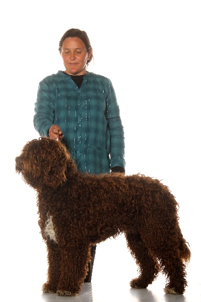 CH. Fanny forigoler de la serve de la chapelle d'Alexandre - CACS et meilleure de race !!!