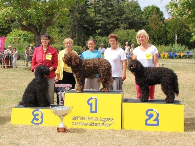 CH. Fanny forigoler de la serve de la chapelle d'Alexandre - 1ère excellent en classe travail et CACS