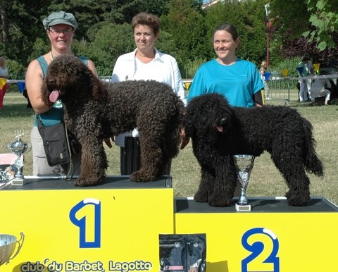 CH. poppenspaler's Faro - 1er exc en classe travail et RCACS