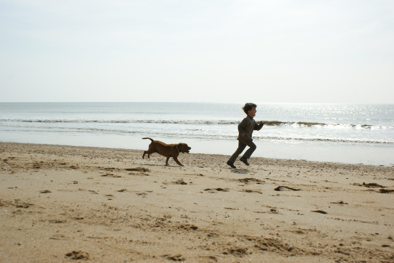 Publication : de la griffe du diamant bleu Auteur : la griffe du diamant bleu