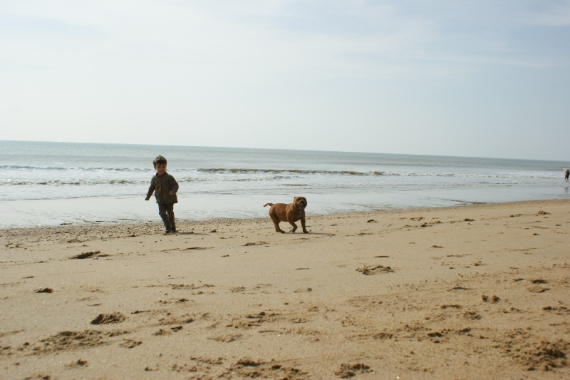 Publication : de la griffe du diamant bleu Auteur : la griffe du diamant bleu