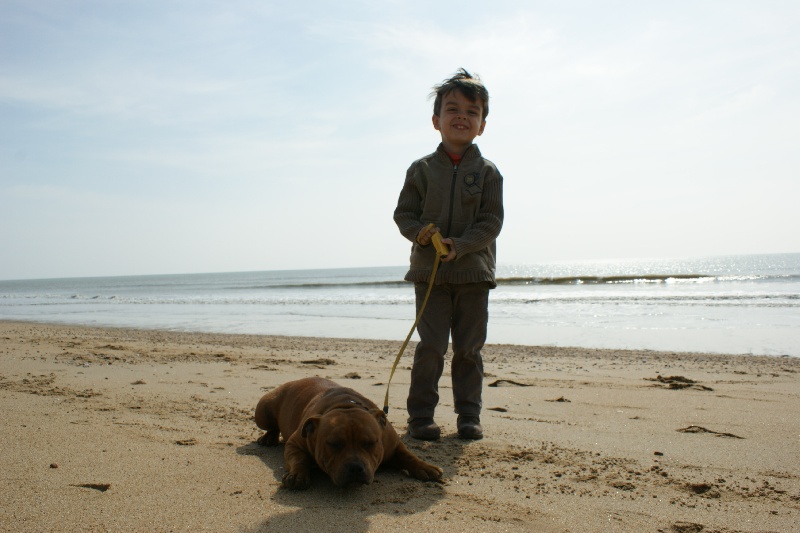 Publication : de la griffe du diamant bleu Auteur : la griffe du diamant bleu
