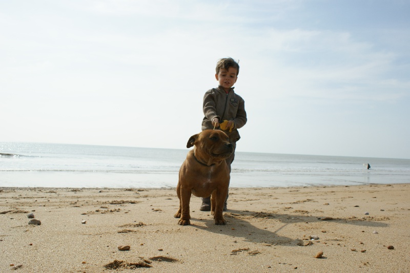 Publication : de la griffe du diamant bleu Auteur : la griffe du diamant bleu