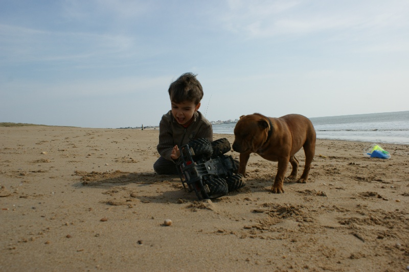 Publication : de la griffe du diamant bleu Auteur : la griffe du diamant bleu