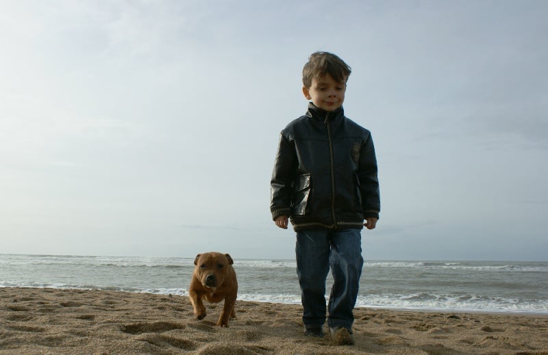 Publication : de la griffe du diamant bleu Auteur : la griffe du diamant bleu