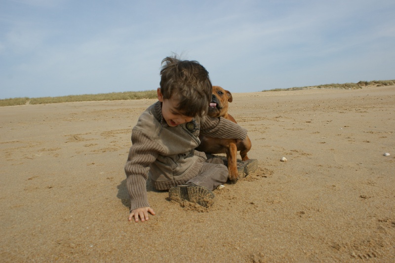 Publication : de la griffe du diamant bleu Auteur : la griffe du diamant bleu