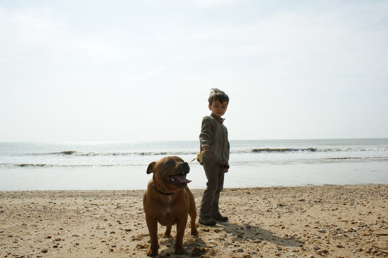 Publication : de la griffe du diamant bleu Auteur : la griffe du diamant bleu