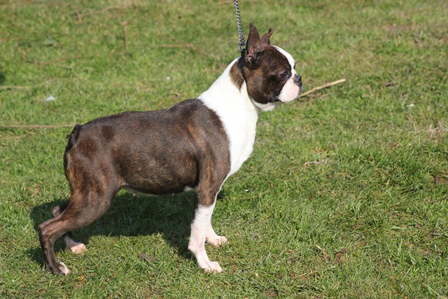 Publication : Du grand fresnoy