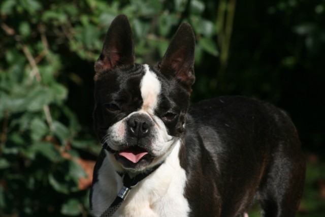 Publication : Du grand fresnoy