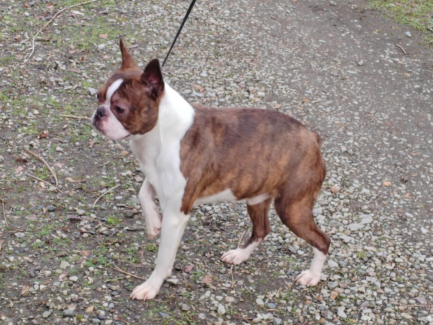 Publication : Du grand fresnoy