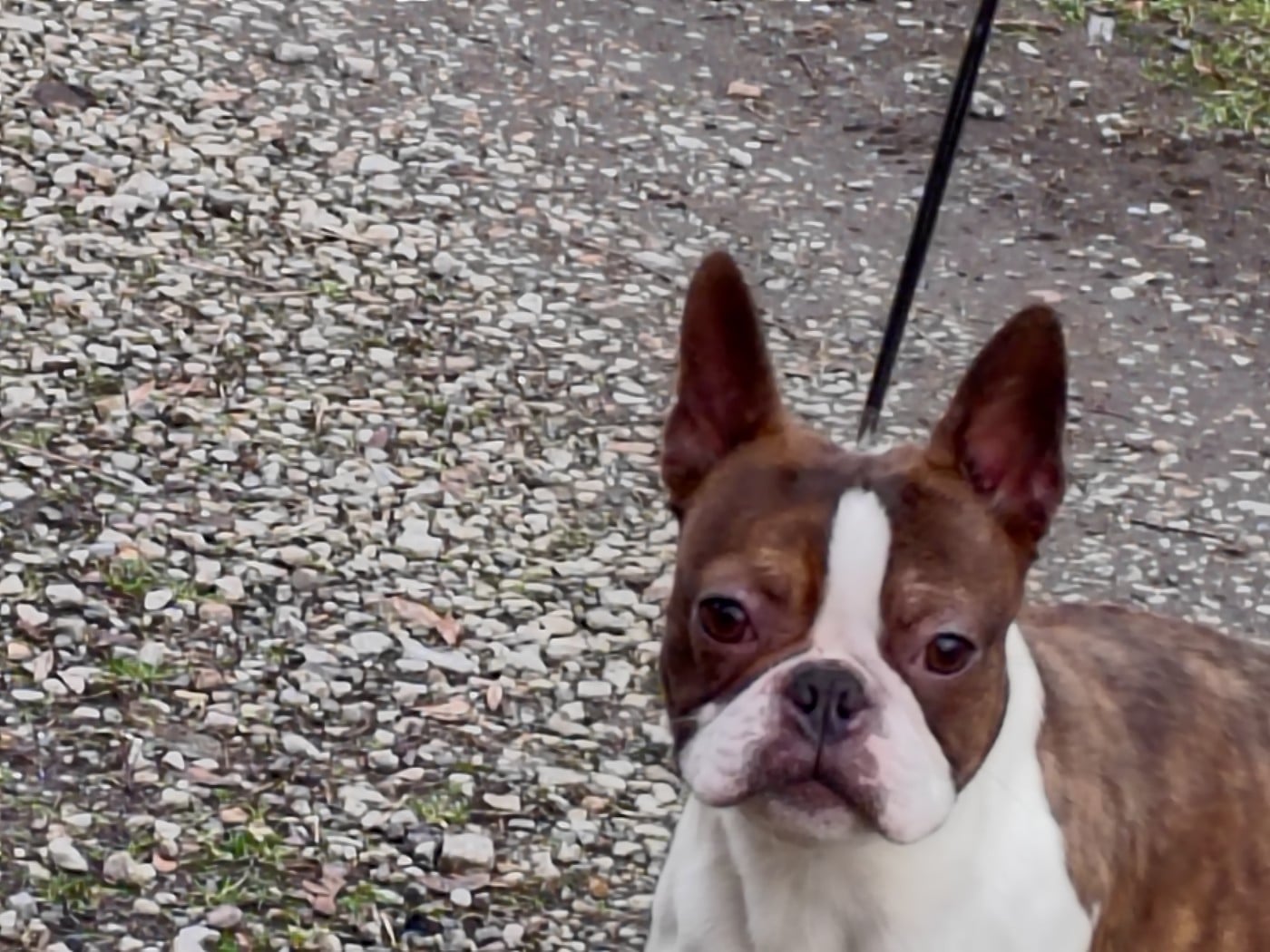 Publication : Du grand fresnoy