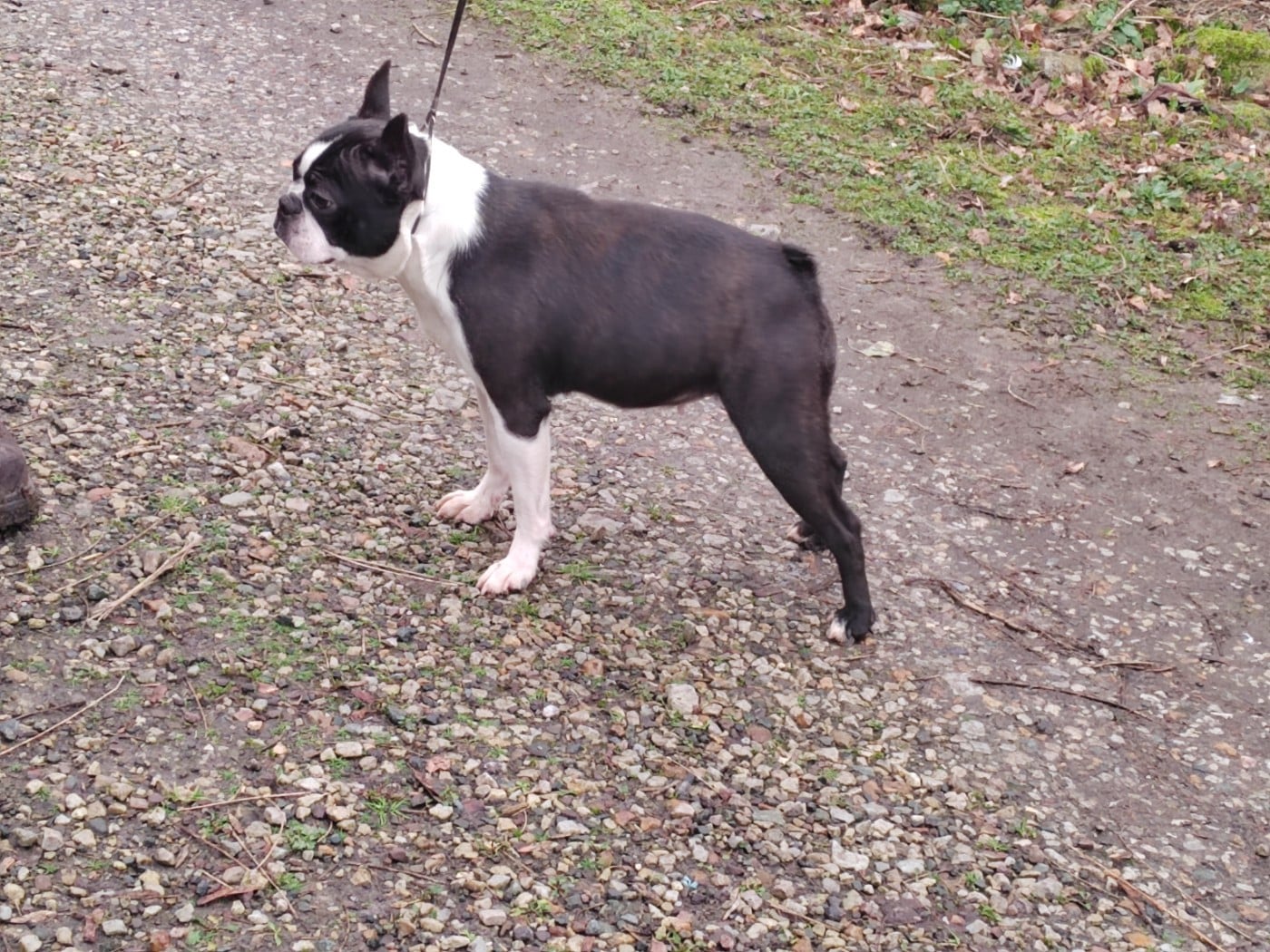 Publication : Du grand fresnoy