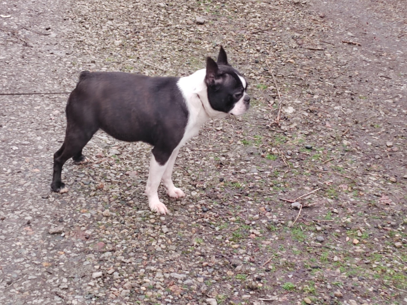 Publication : Du grand fresnoy