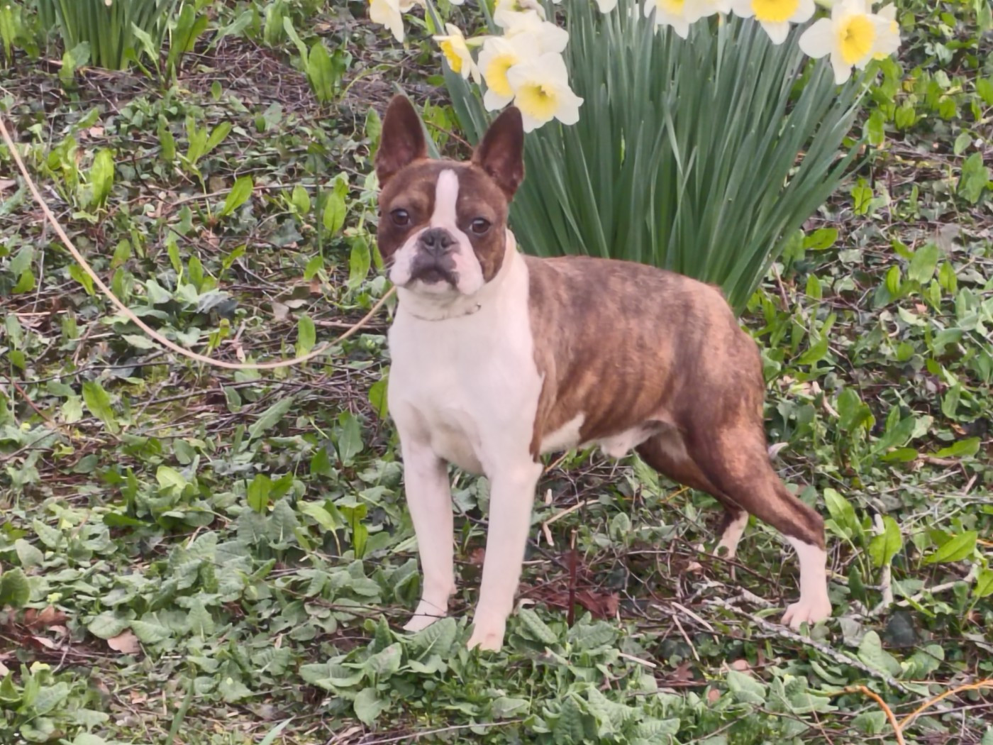 CH. Vous permettez monsieur  Du grand fresnoy