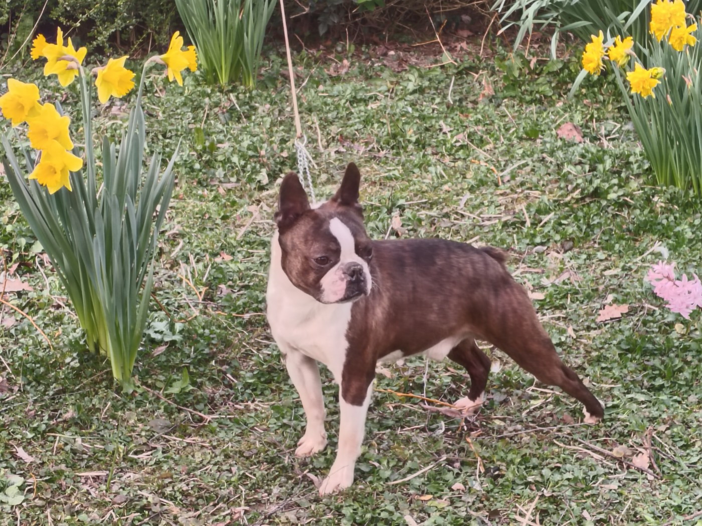 Thé platters Du grand fresnoy