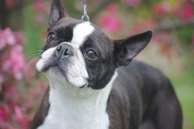 Publication : Du grand fresnoy