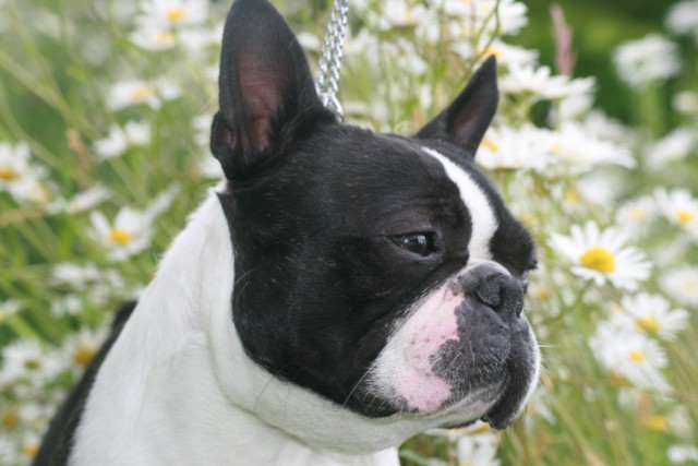 Publication : Du grand fresnoy