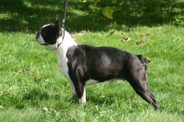 Publication : Du grand fresnoy