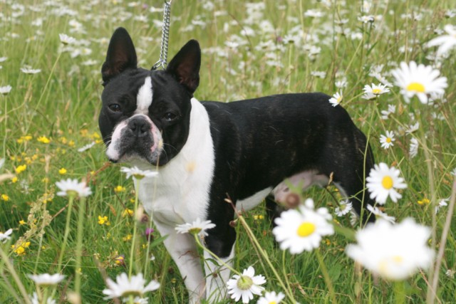 Publication : Du grand fresnoy