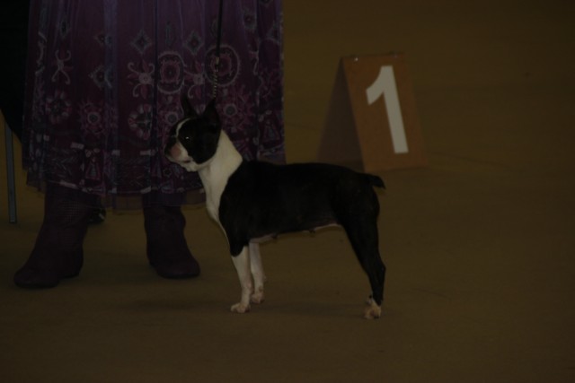 Publication : Du grand fresnoy