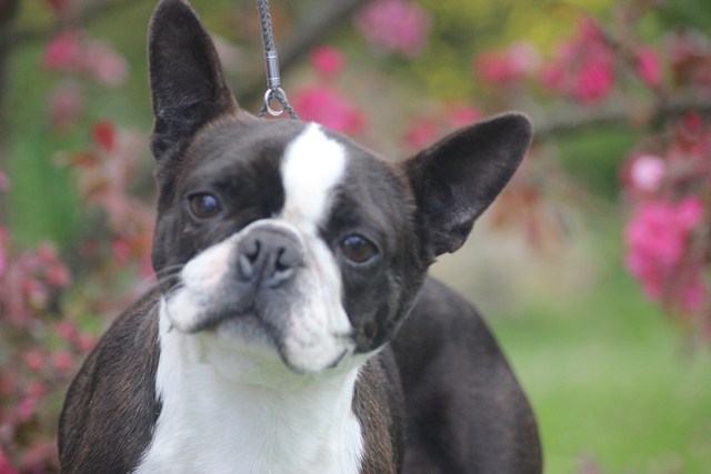 Publication : Du grand fresnoy