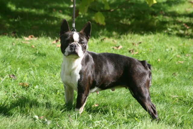 Publication : Du grand fresnoy