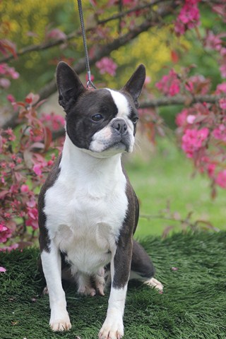 Publication : Du grand fresnoy