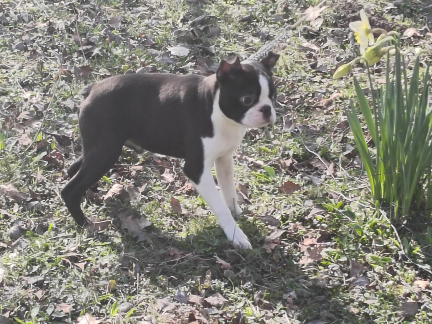 Arthur le roi des durs