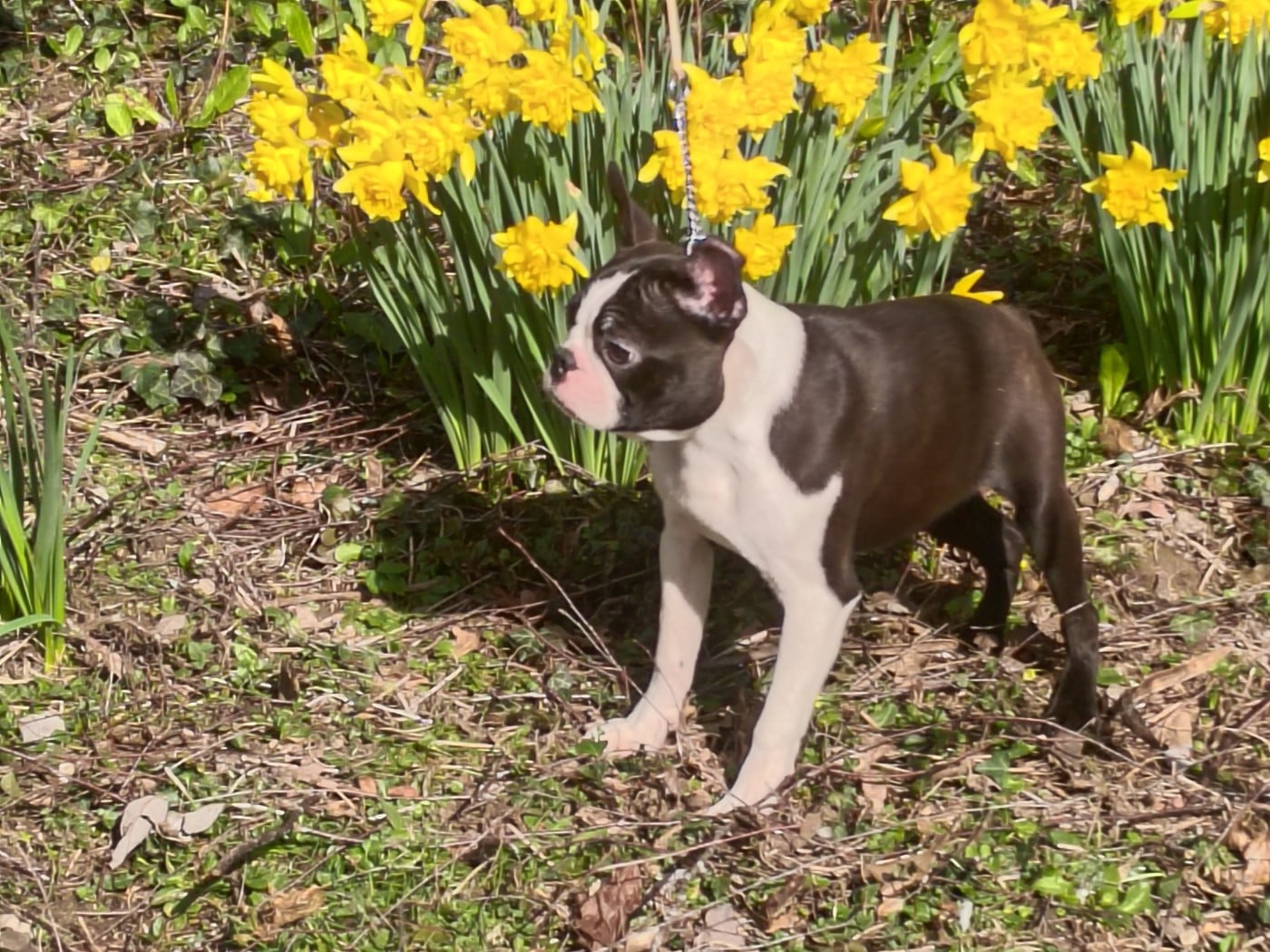 Arthur le roi des durs