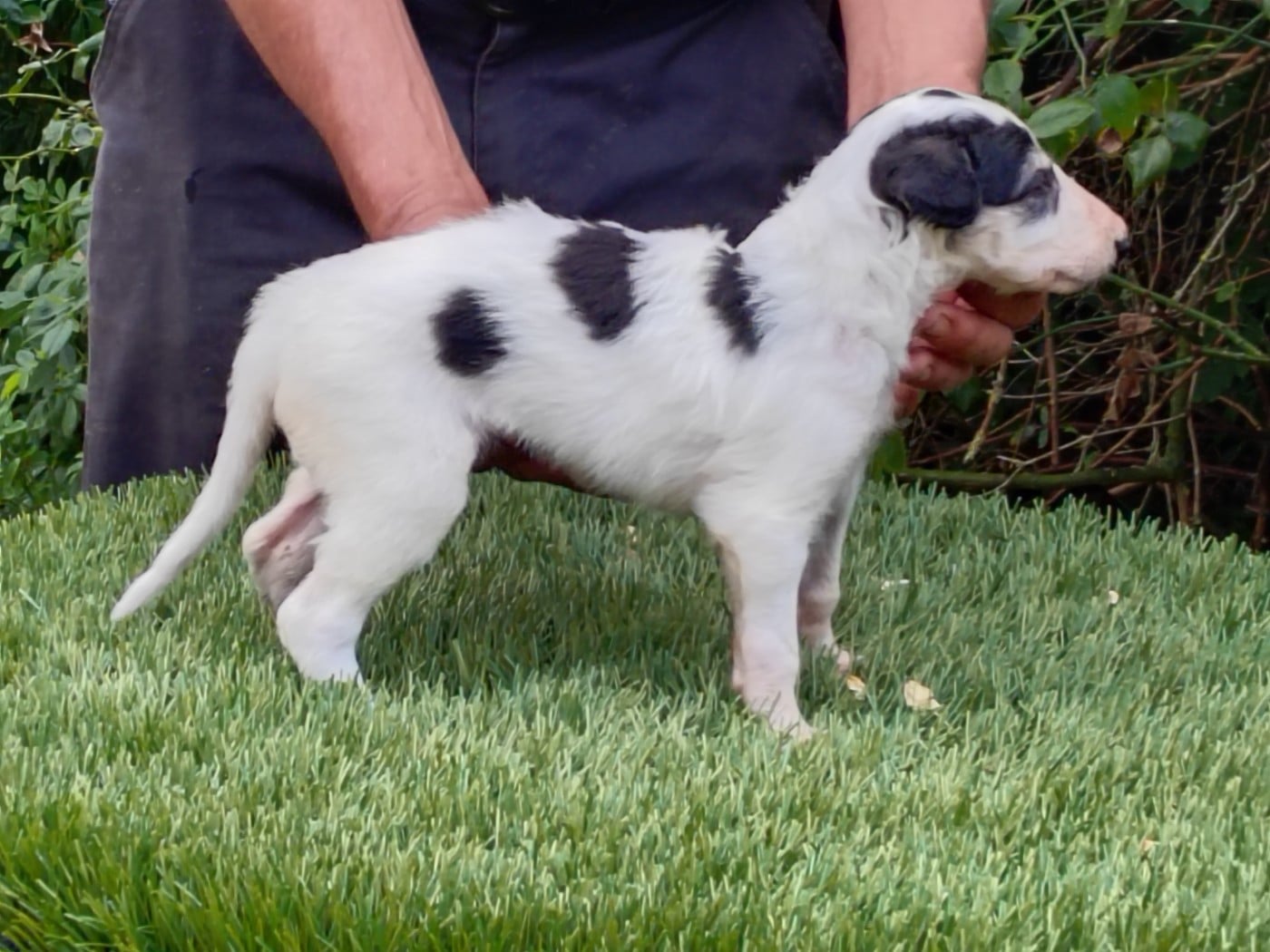 Baronne de Sévigné